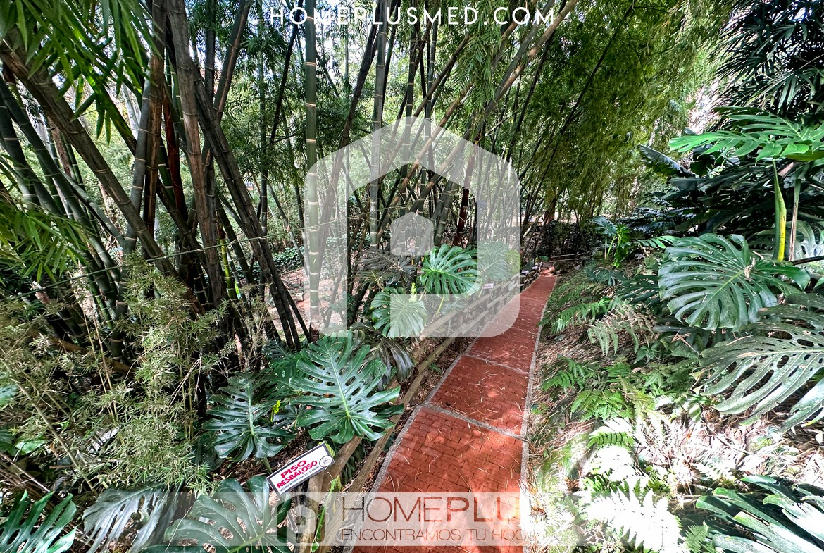 ZONAS COMUNES CEYLAN PLAZA 2024 (9)