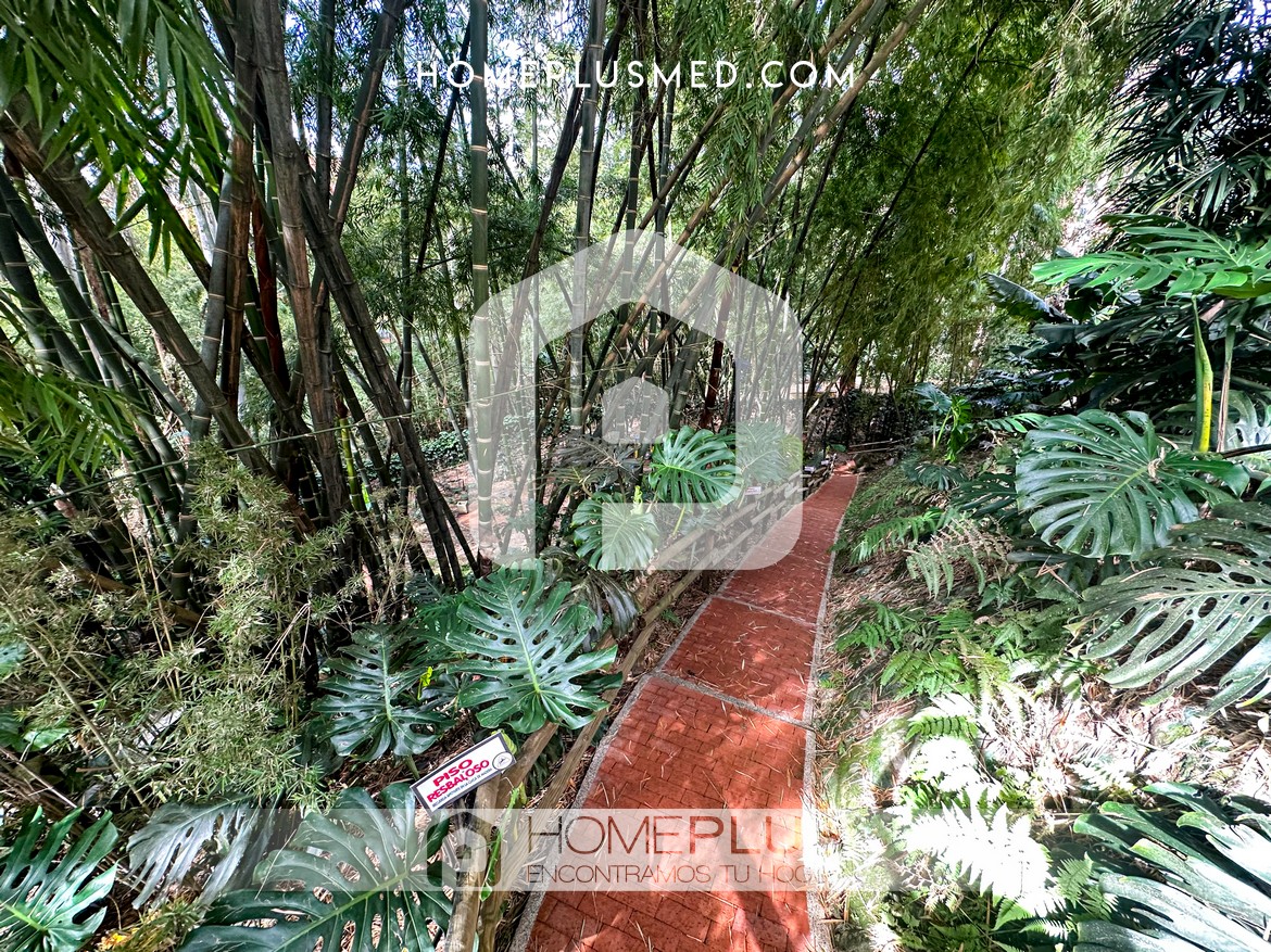 ZONAS COMUNES CEYLAN PLAZA 2024 (9)