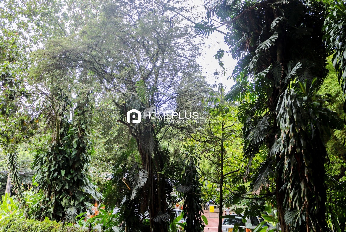 ALQUILER APARTAMENTO AMOBLADO EL POBLADO LA CONCHA A251, PUEBLA 202