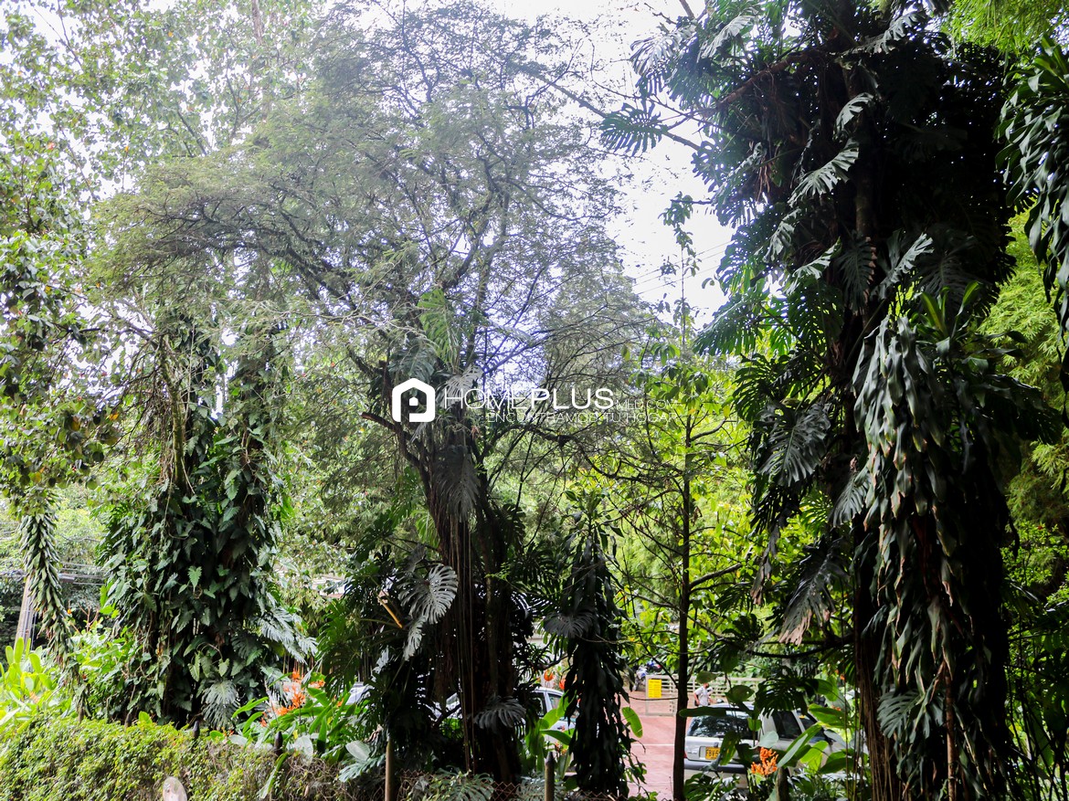 ALQUILER APARTAMENTO AMOBLADO EL POBLADO LA CONCHA A251, PUEBLA 202