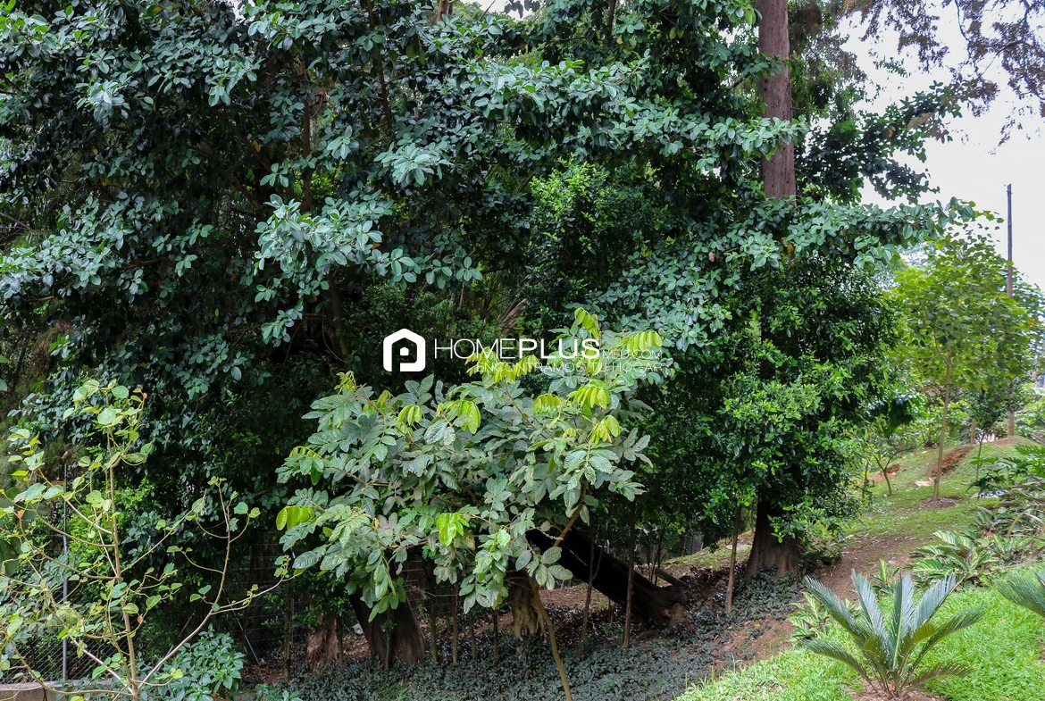 ZONAS COMUNES REGATTA 906