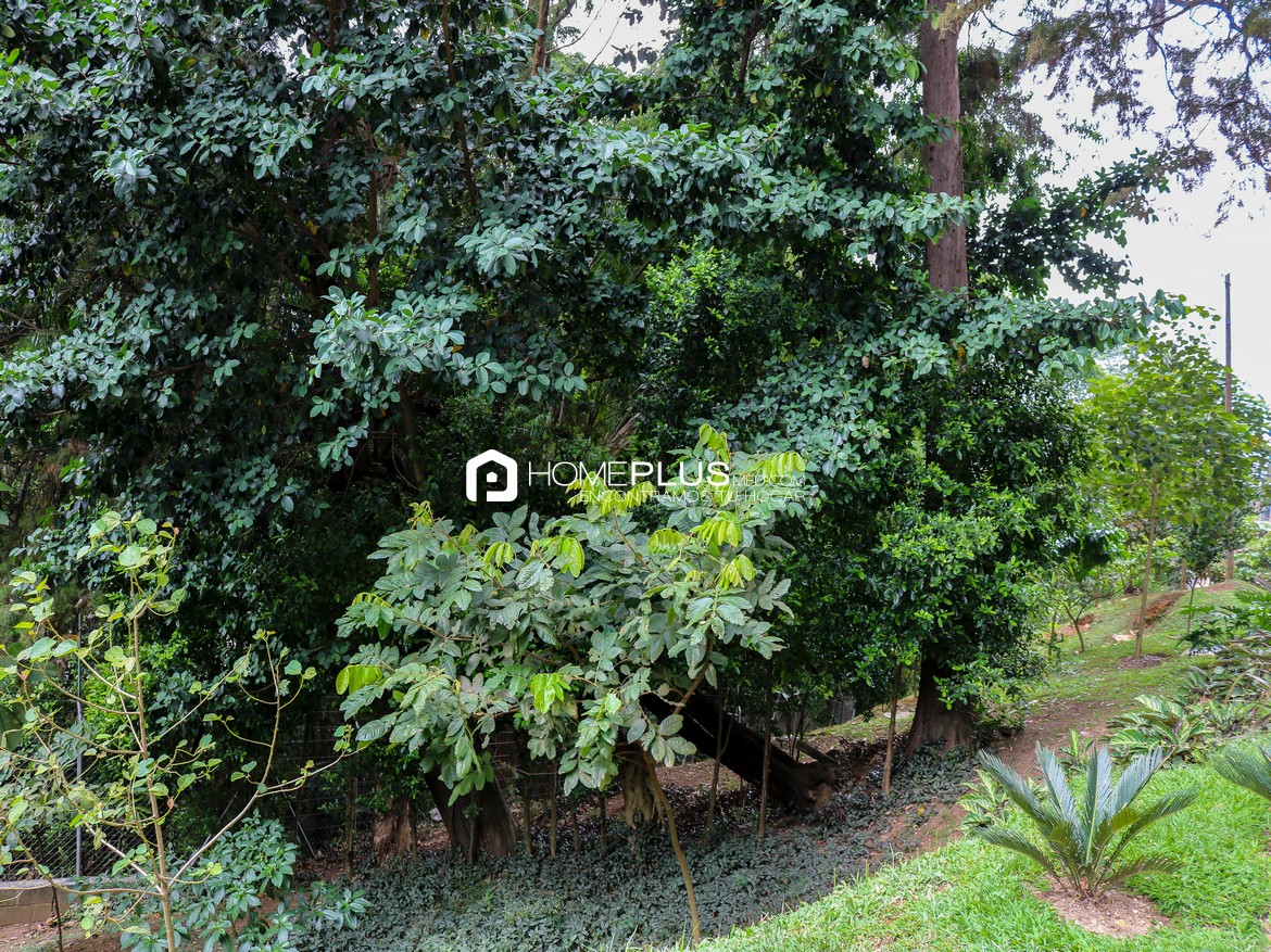 ZONAS COMUNES REGATTA 906