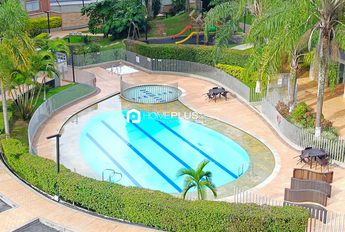 Zonas Comunes Saltamontes (1)