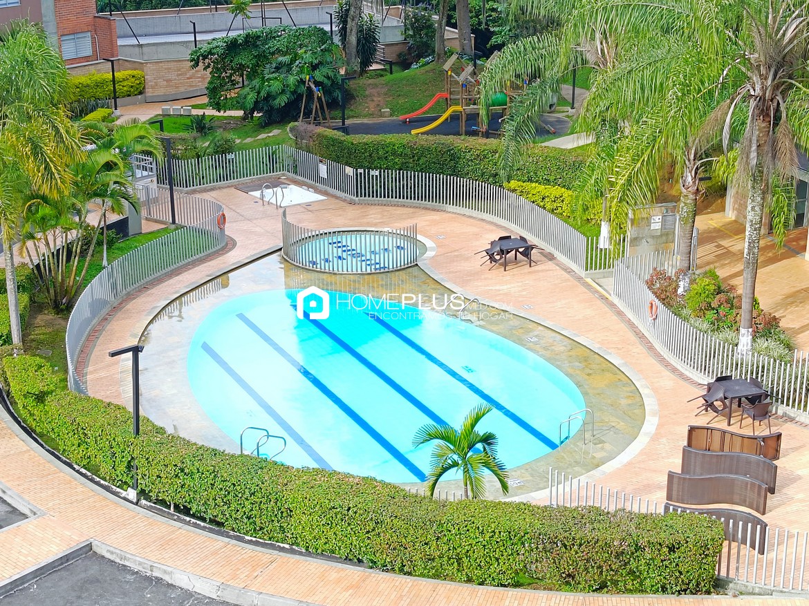 Zonas Comunes Saltamontes (1)