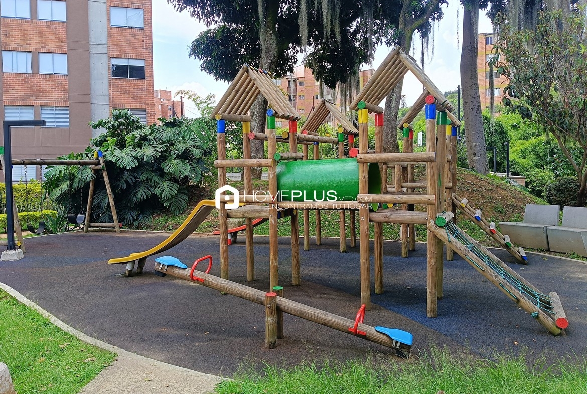 Zonas Comunes Saltamontes (7)